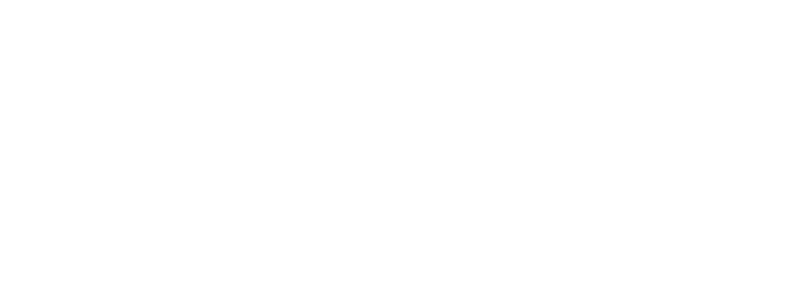 Lora ERP Logo